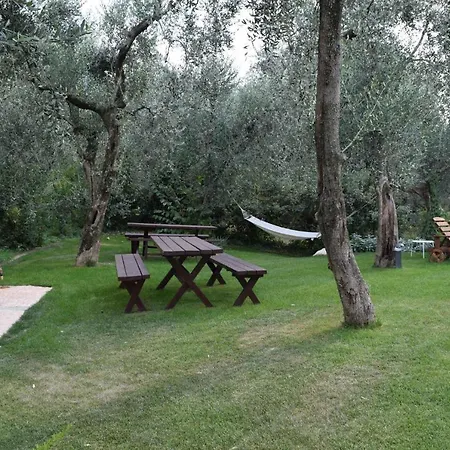 In Malcesine/gardasee 22034
